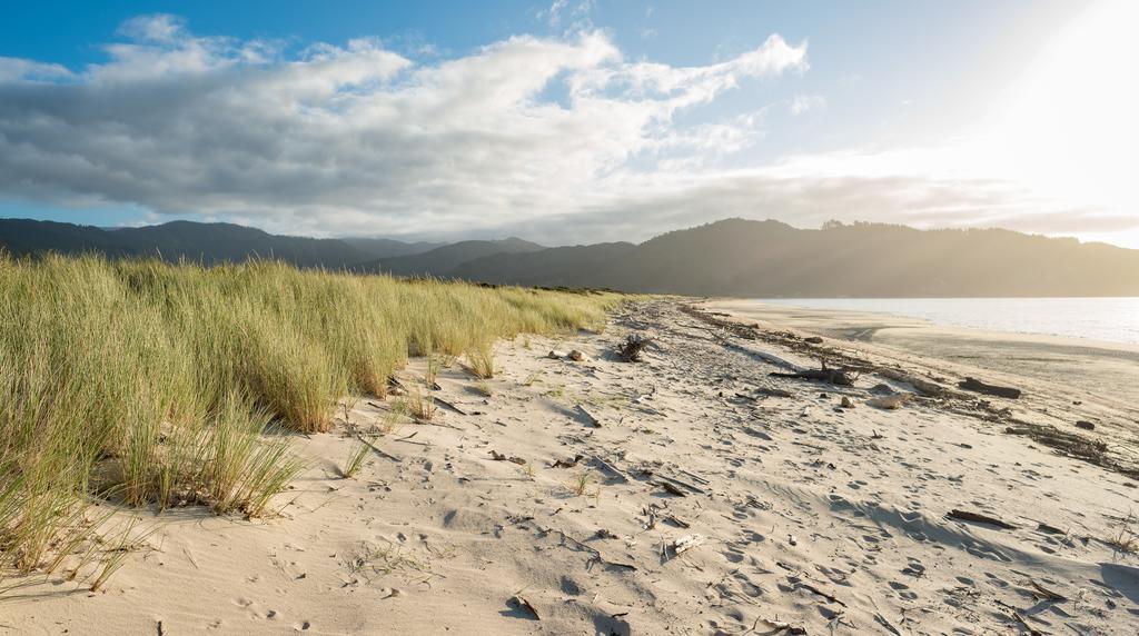 Golden Bay Hideaway Villa Takaka Luaran gambar